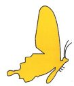 Puntolingua logo