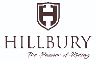 Hillbury GmbH logo