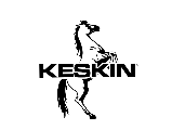 Keskin eBike logo
