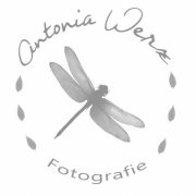 Antonia Werz Fotografie logo