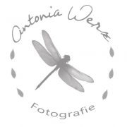 Antonia Werz Fotografie logo