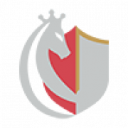 DIE Versicherungsprofis logo