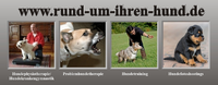 Rund um Ihren Hunde logo