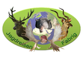 Jagdreisen Fabrig logo